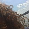maggi_smith